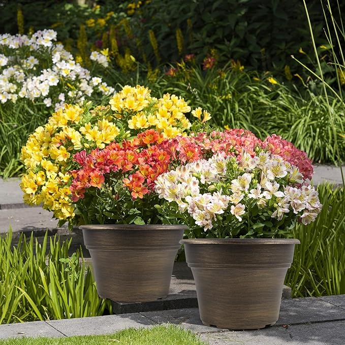 16 inch Plant Pots Outdoor Planters，4 Pack Large Plastic Flower Pot for Indoor Plants with Drainage Holes & Saucer, Resin Decorative Container Sets with Trays for House Outdoor Garden Plant Dark Gold