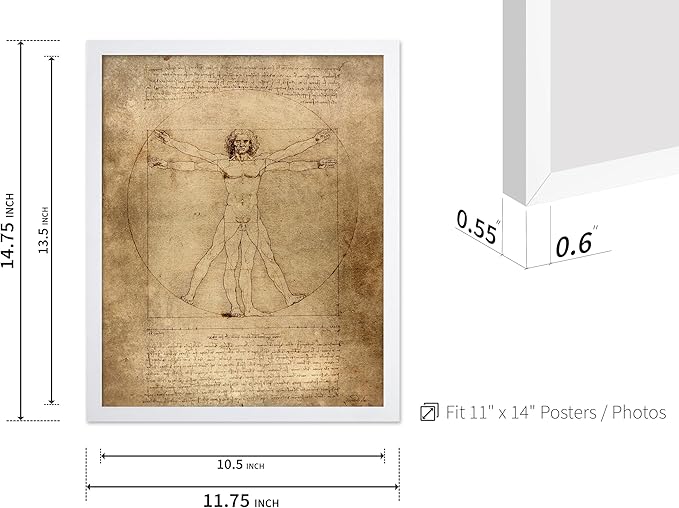 Poster Master Classic Leonardo Da Vinci Poster - Vintage Renaissance Print - Gift for Artist, Friend - Vitruvian Man, Proportion, Symmetry, Human Body - Wall Decor for Office, 11x14 White Framed