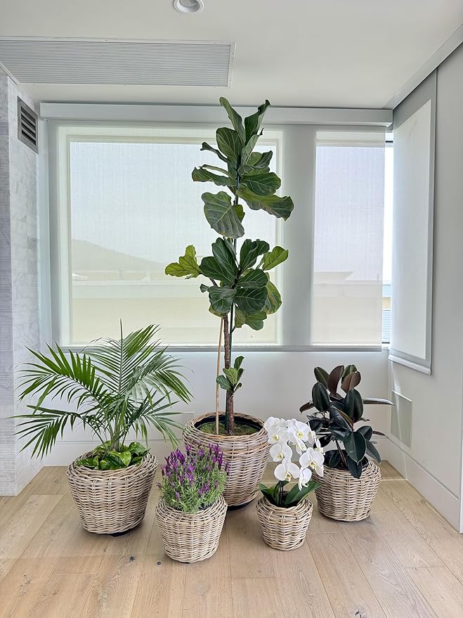 Rattan Kobo Indoor Outdoor Planter Basket with Plastic Pot Medium 35 Gallon Soil Capacity