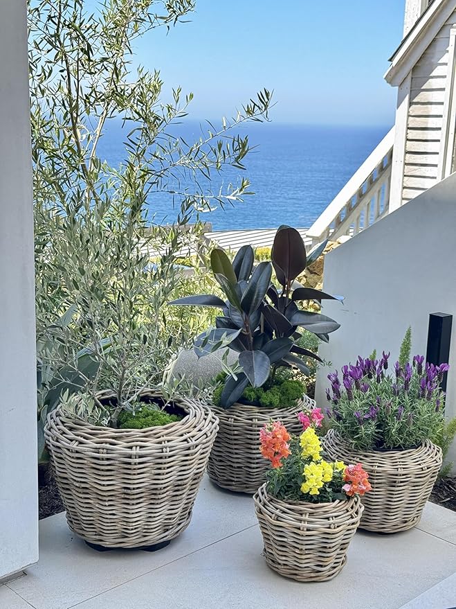 Rattan Kobo Indoor Outdoor Planter Basket with Plastic Pot X Small 1 Gallon Soil Capacity