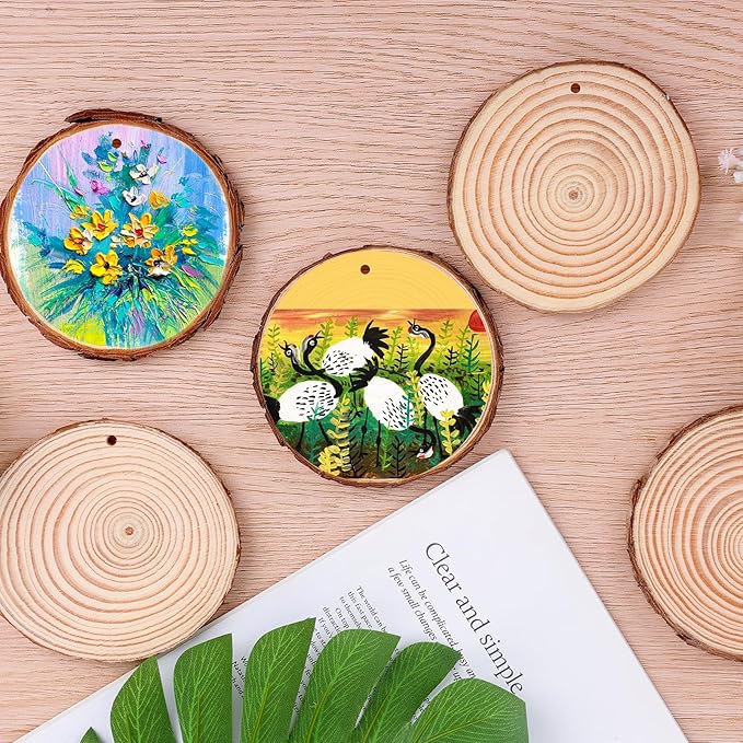 30 Pack Nature Wood Slices for Crafts,3.5-4In Unfinished Natural Wood Rounds.Wood Circles Predrilled with Hole and 20m Rope for Wooden Craft Supplies,Painting,Christmas Ornaments,DIY Gifts