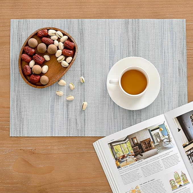 Leetaltree LightSteel Blue Placemats Set of 4 - Heat Resistant Non-Slip Place mats for Dining Table, Washable Durable PVC Vinyl Woven Table Mats（LightSteel Blue, 4）